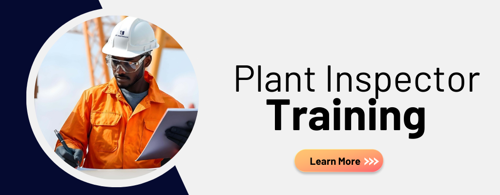 Plant Inspector Through Examination